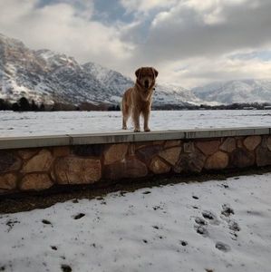 Meet your Posher, Richard